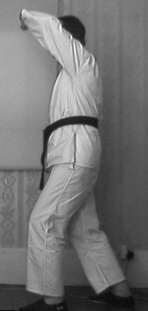 shuto-jodan-age-uke profil