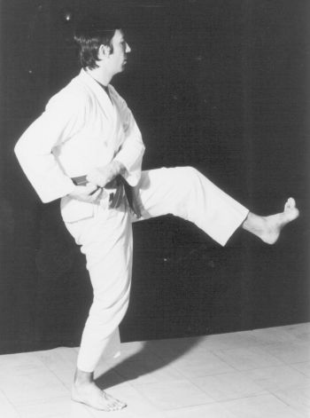 mae-geri